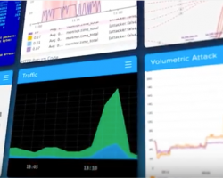 Ddos essays 06 picture
